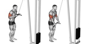 exercicio de triceps para ganho de massa muscular